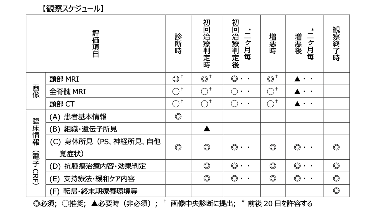 観察スケジュール