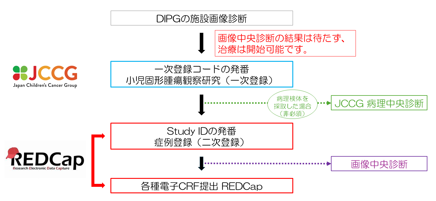 症例登録までのシェーマ